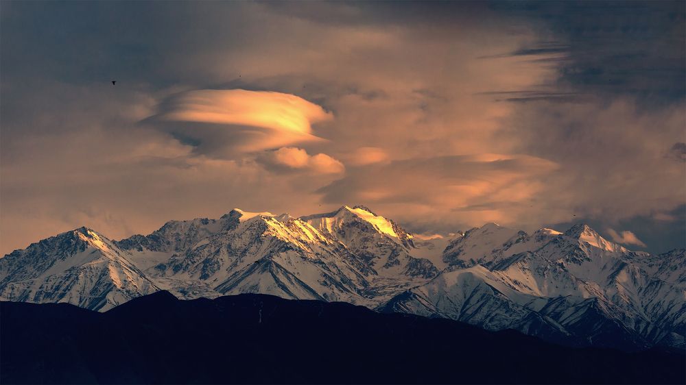 Инопланетный десант