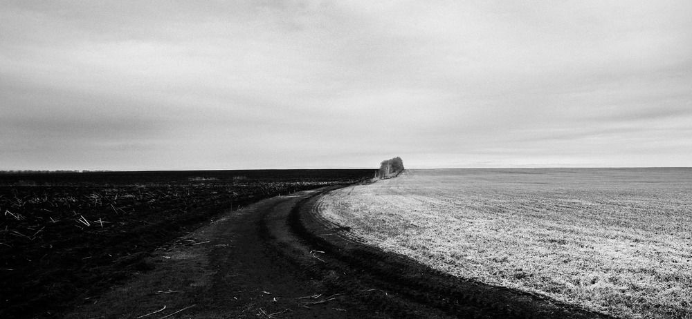 Photograph by Мария Приставская (Буданова)