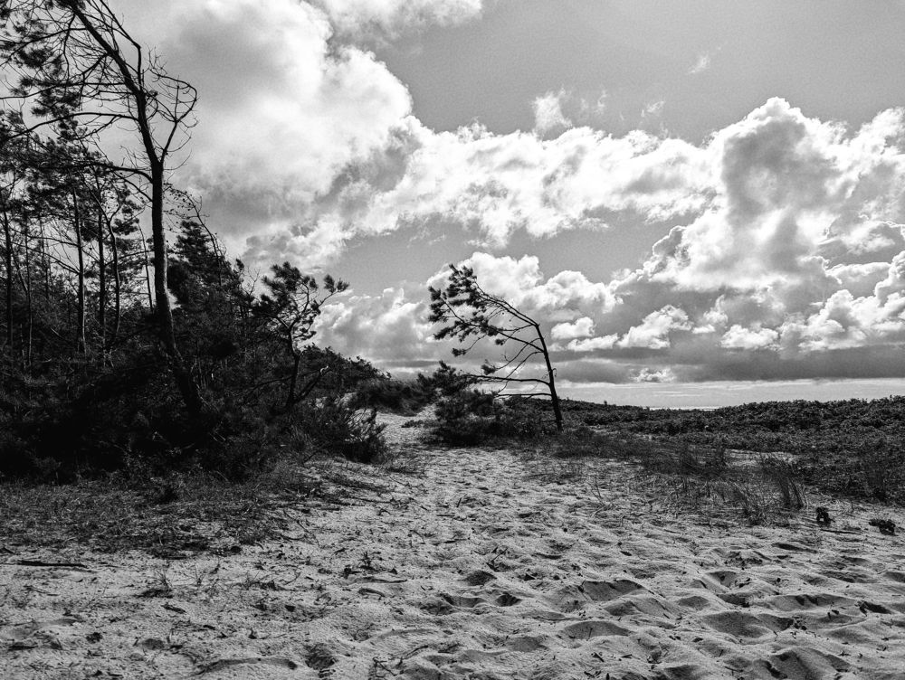 Photograph by Никита Львов