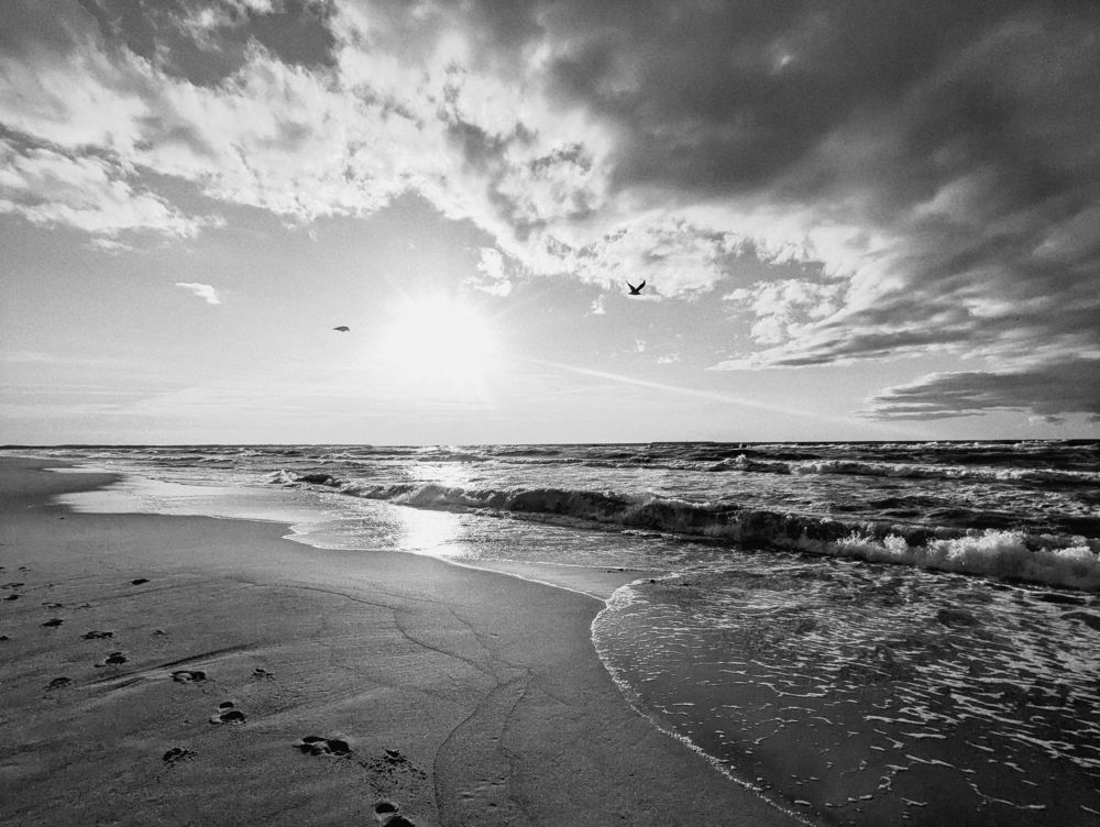 Photograph by Никита Львов