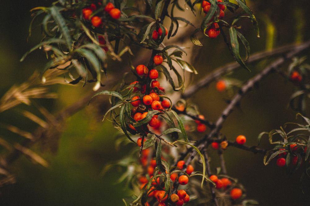 Photograph by Евгений Авдеев