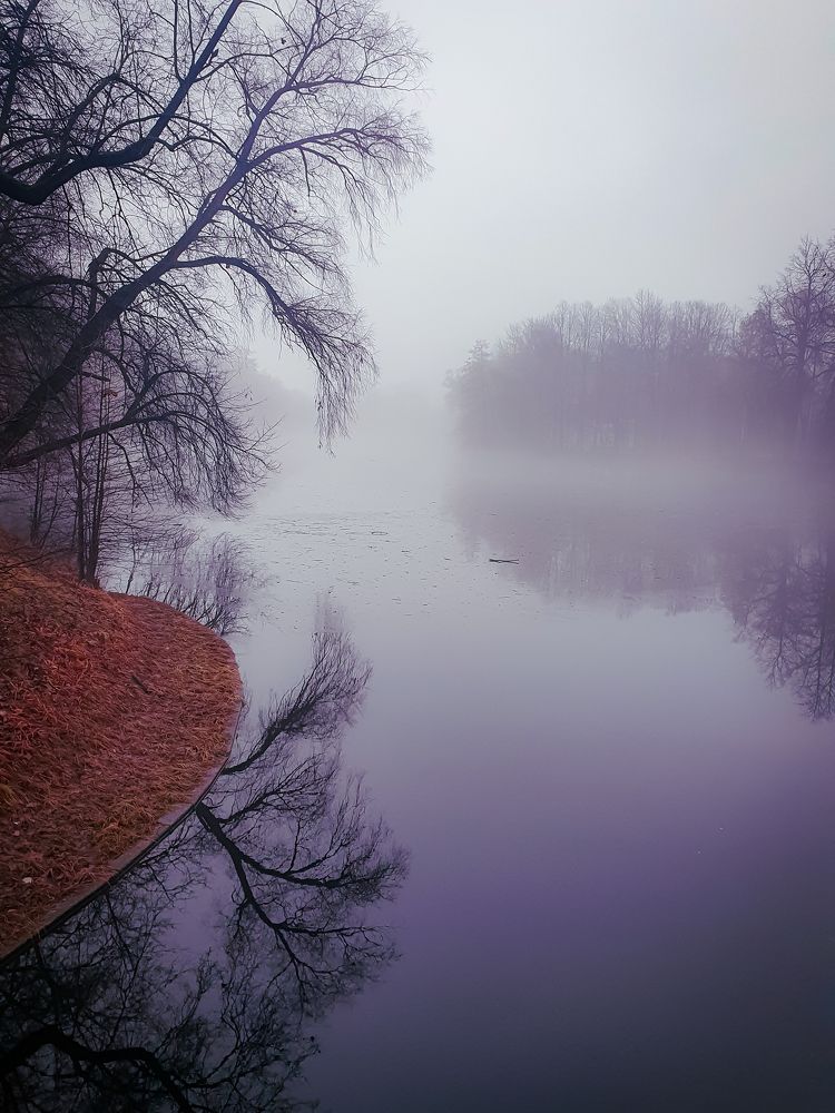 Photograph by Константин Леонюк