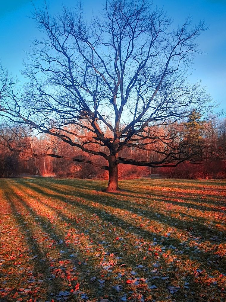 Photograph by Константин Леонюк