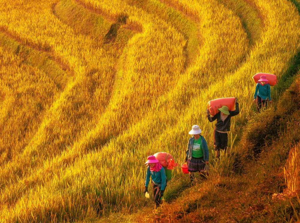 Photograph by Tran Phuong