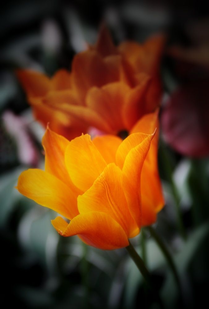 Photograph by Наталия Мельникова