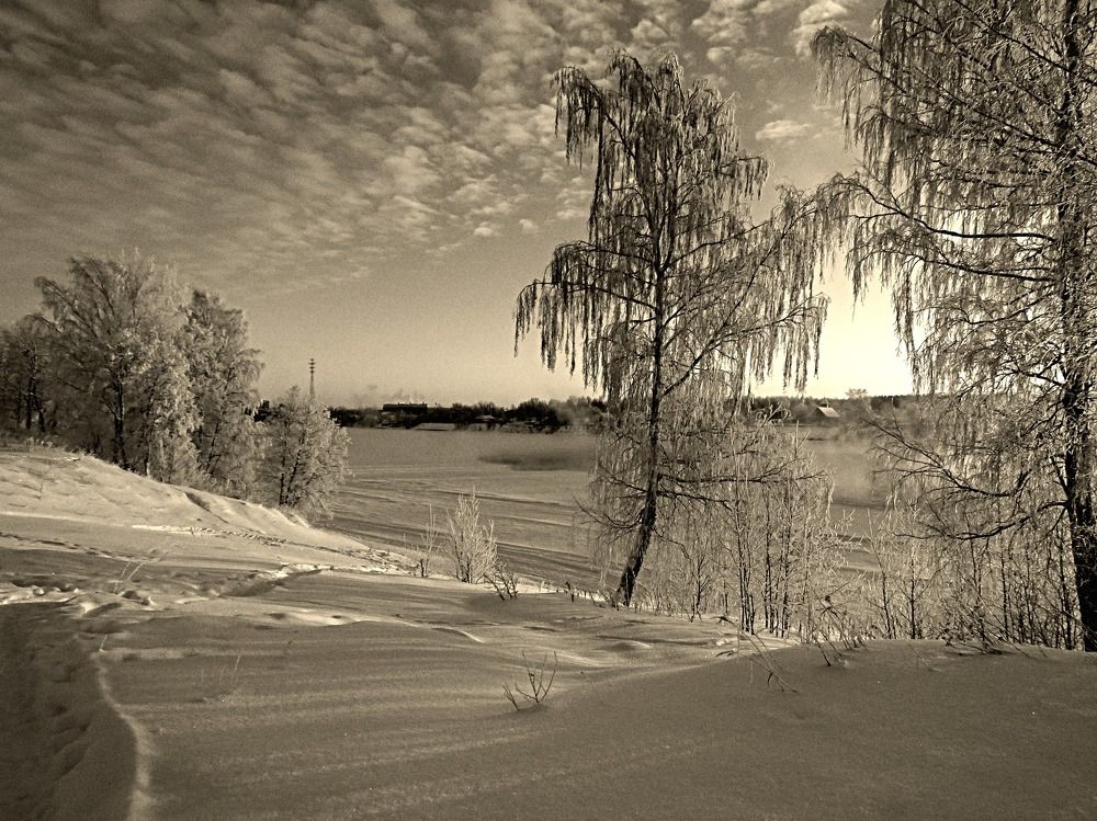 Photograph by Галина Пименова