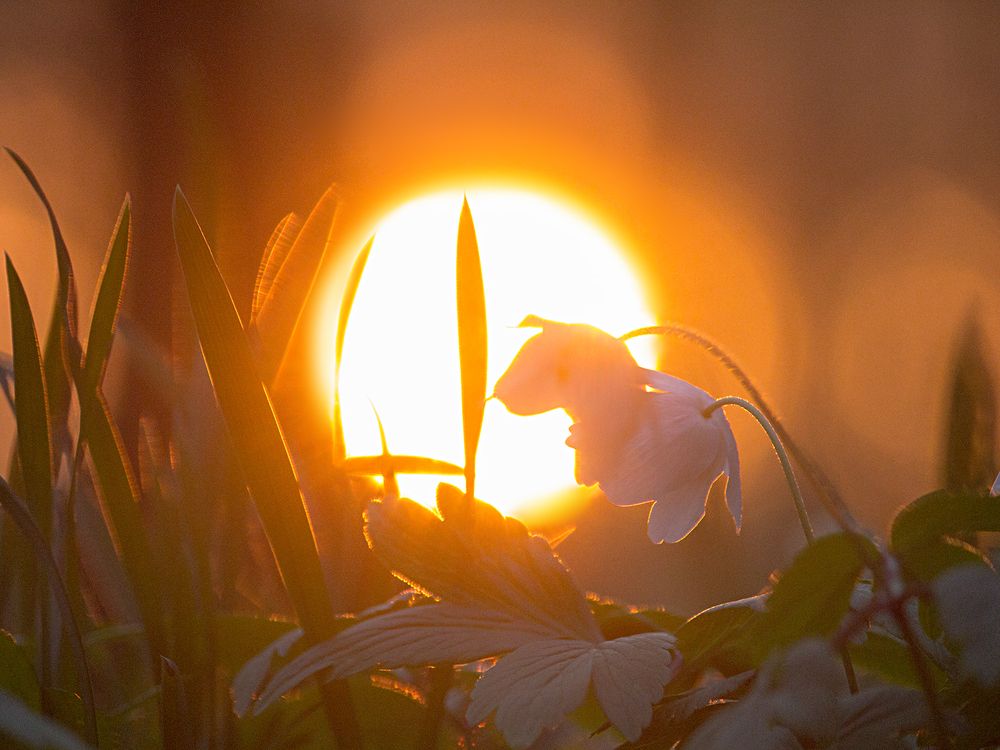 Фотография автора Борис Журавлёв