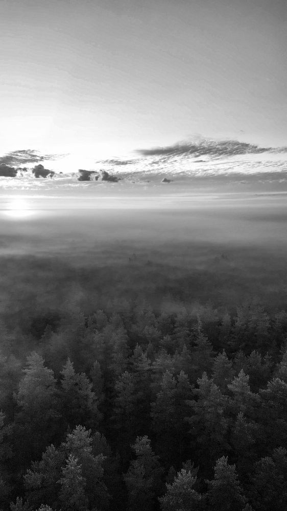 Photograph by Сергей