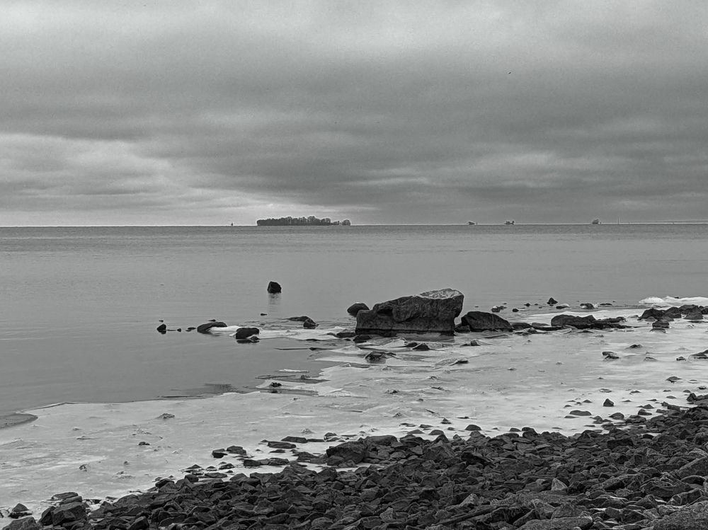 Photo #11502900