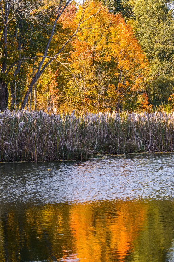 Photograph by Анастасия Гурова