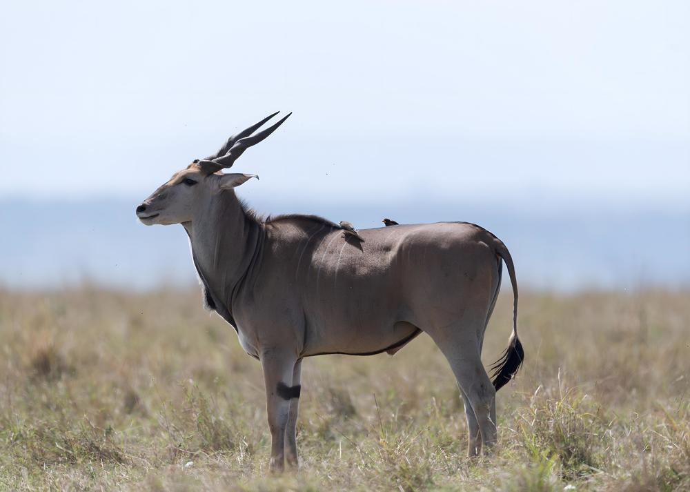 Photograph by Ranjith Kumar