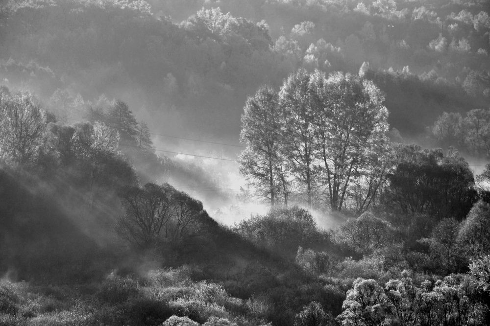 Солнечные лучи