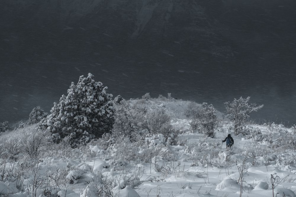 Photograph by Дильмурад Ахмедов