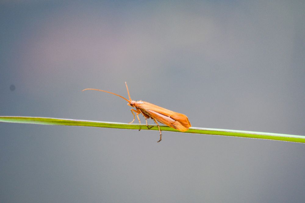 Photograph by Анастасия Гурова