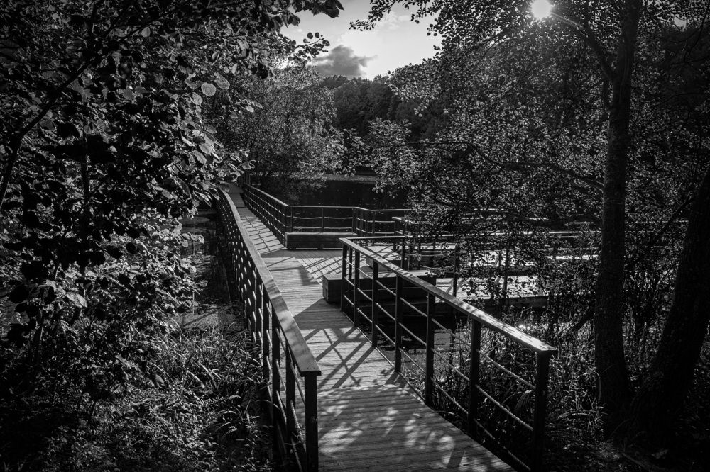 Photograph by Дарья Улюсова