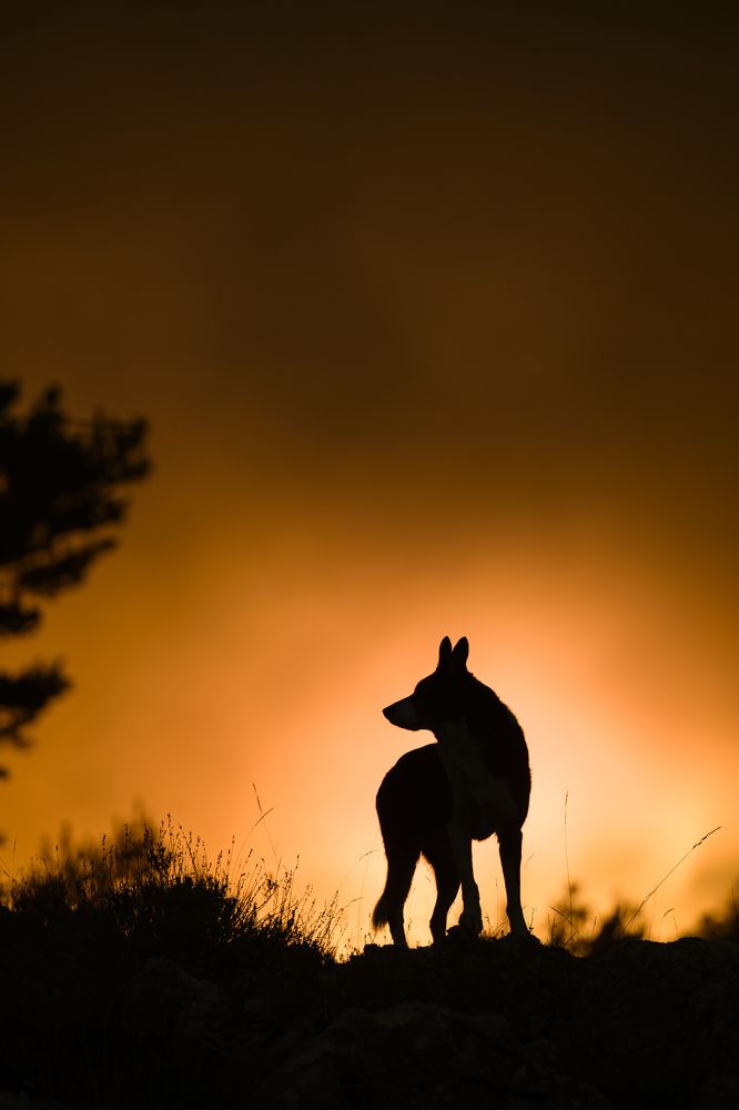 Photograph by Valérie Aubois