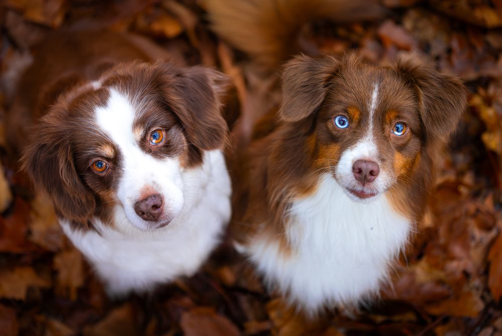 Photograph by Shanna van Mens