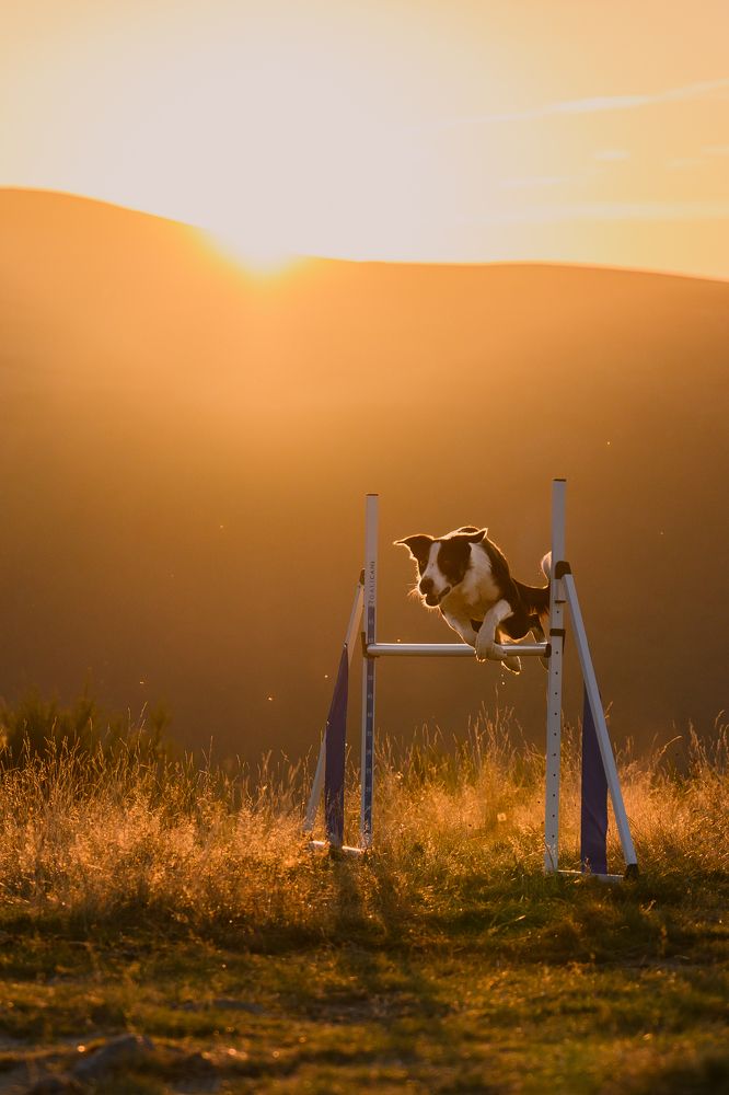 Photograph by Valérie Aubois