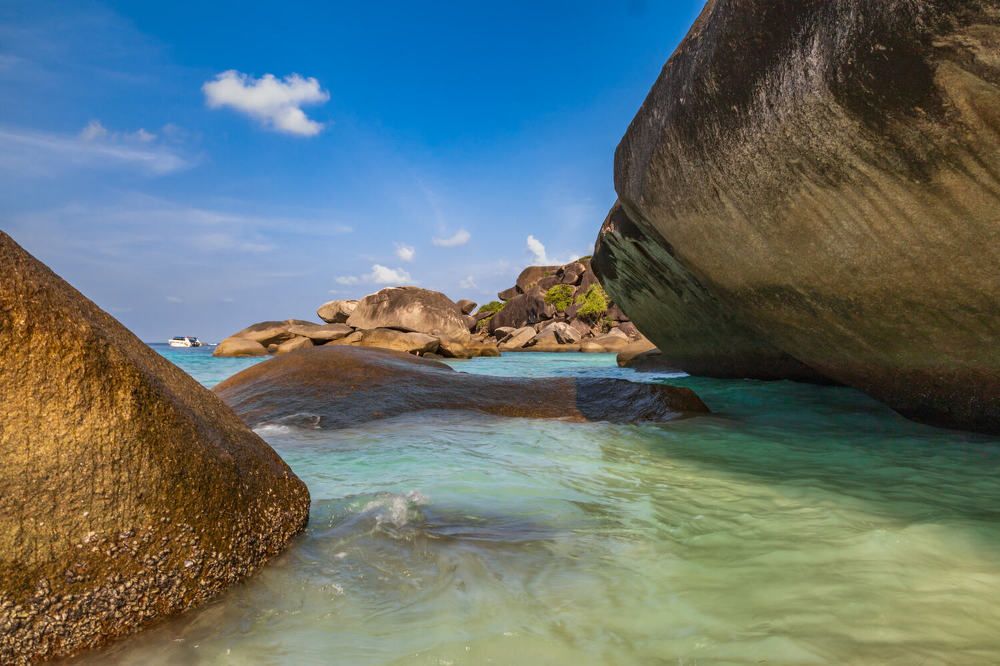 Photograph by Алексей Горин