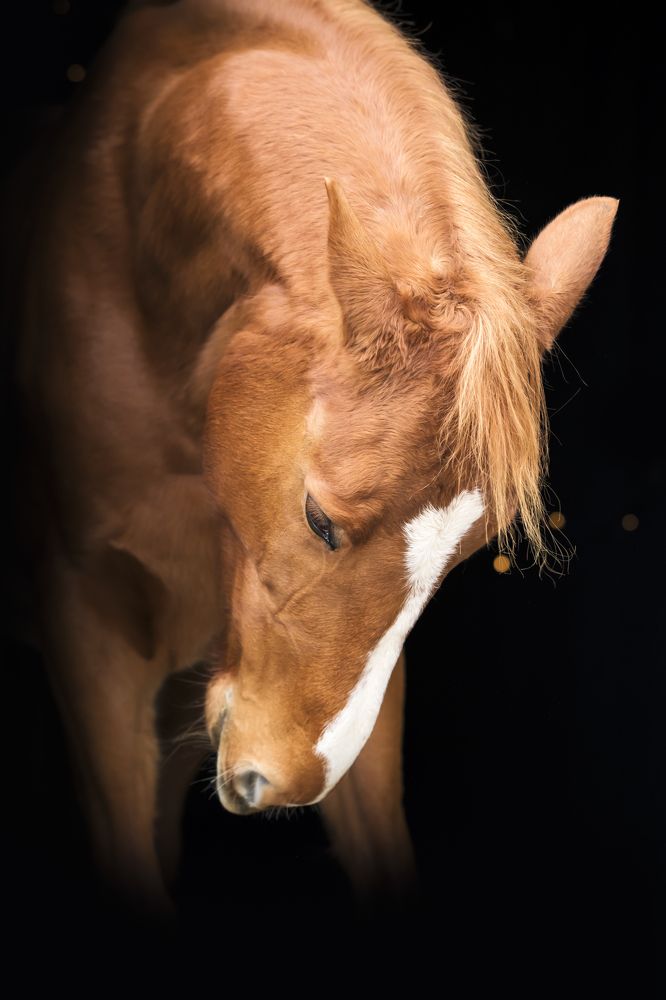 Photograph by Valérie Aubois