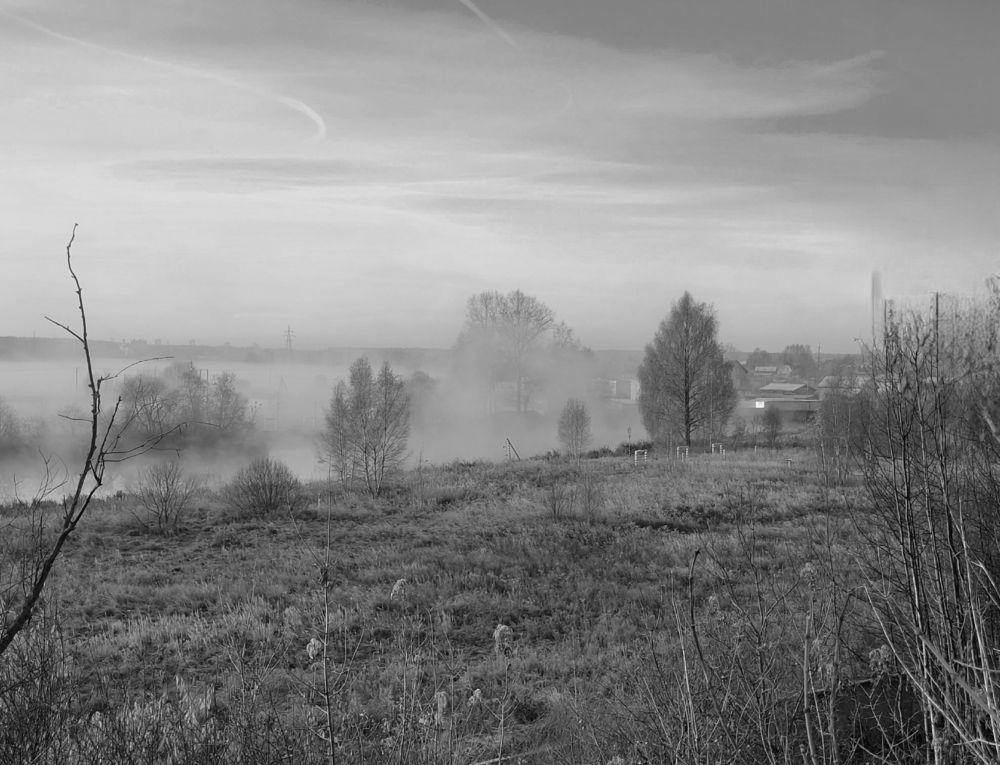 Photograph by Алексей Горин