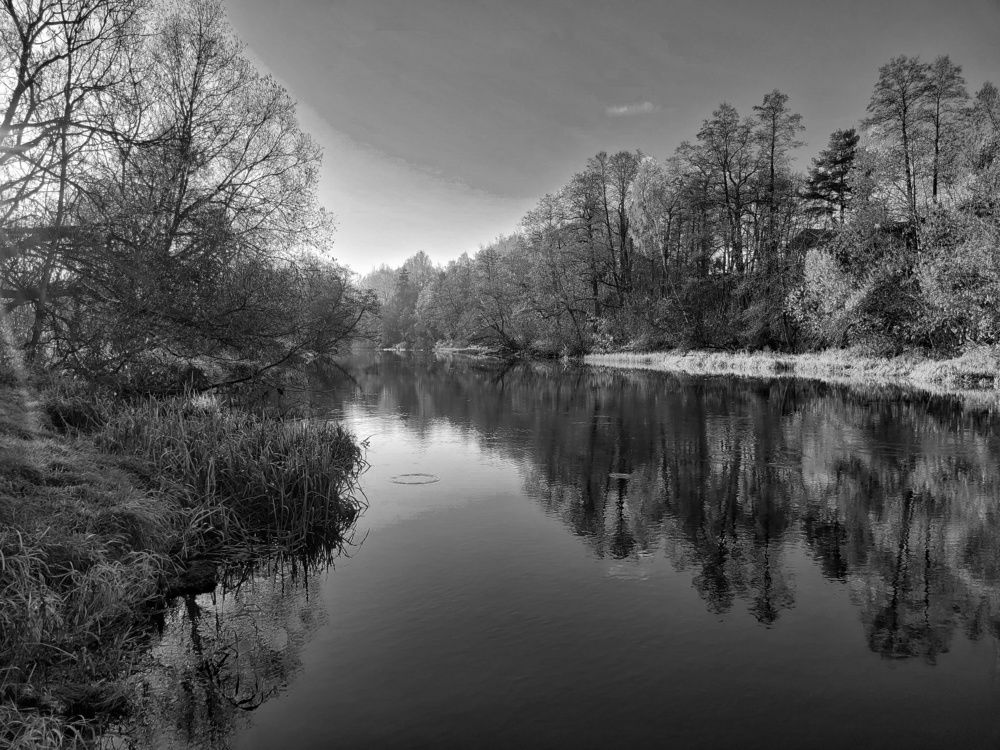 Photograph by Алексей Горин