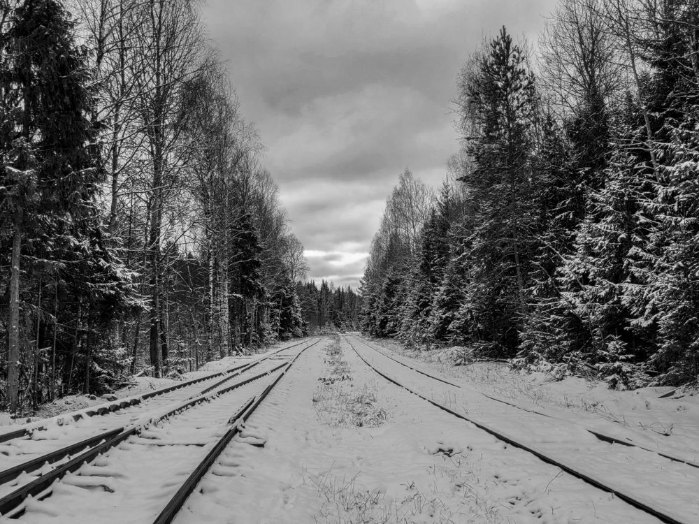 Photograph by Алексей Горин