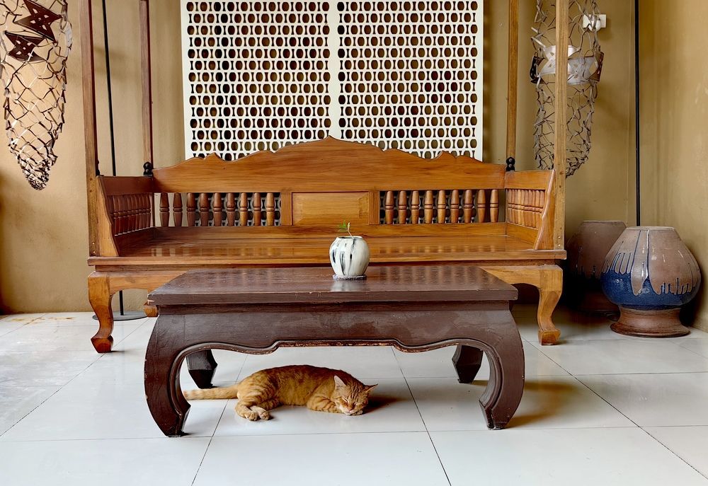 Photograph by Светлана Булыгина