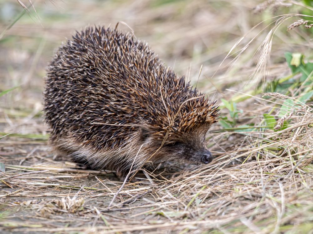 Photograph by Савчук Сергей