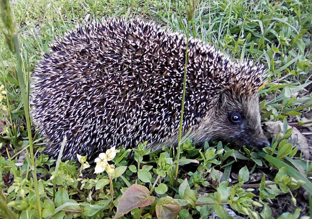 Photograph by Савчук Сергей