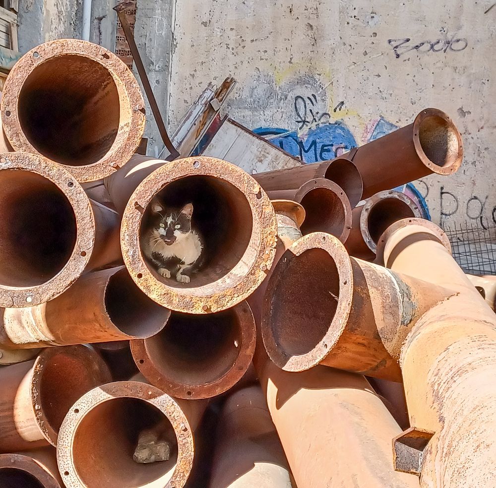 Фотография автора DIMITRIS MPAZIOTOPOULOS