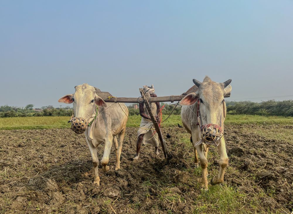 Photograph by Avinash Kumar