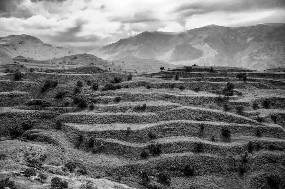 Photograph by Алексей Голубев