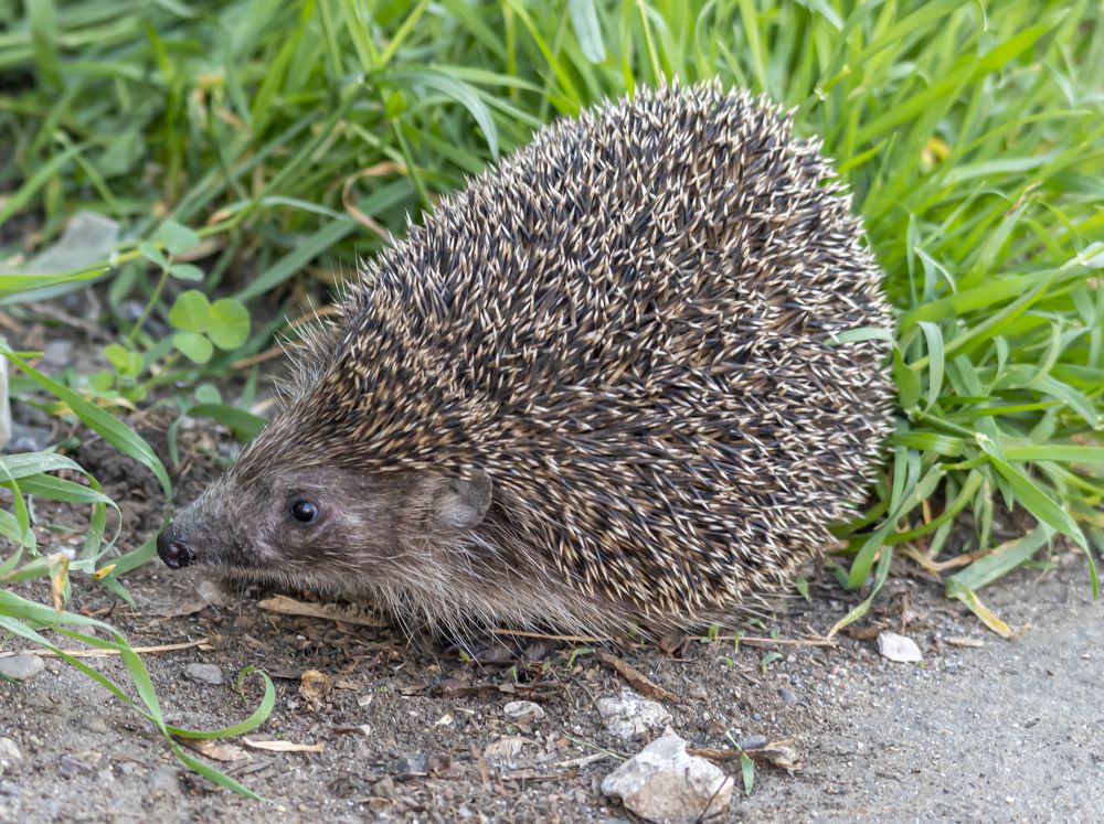 Photograph by Савчук Сергей