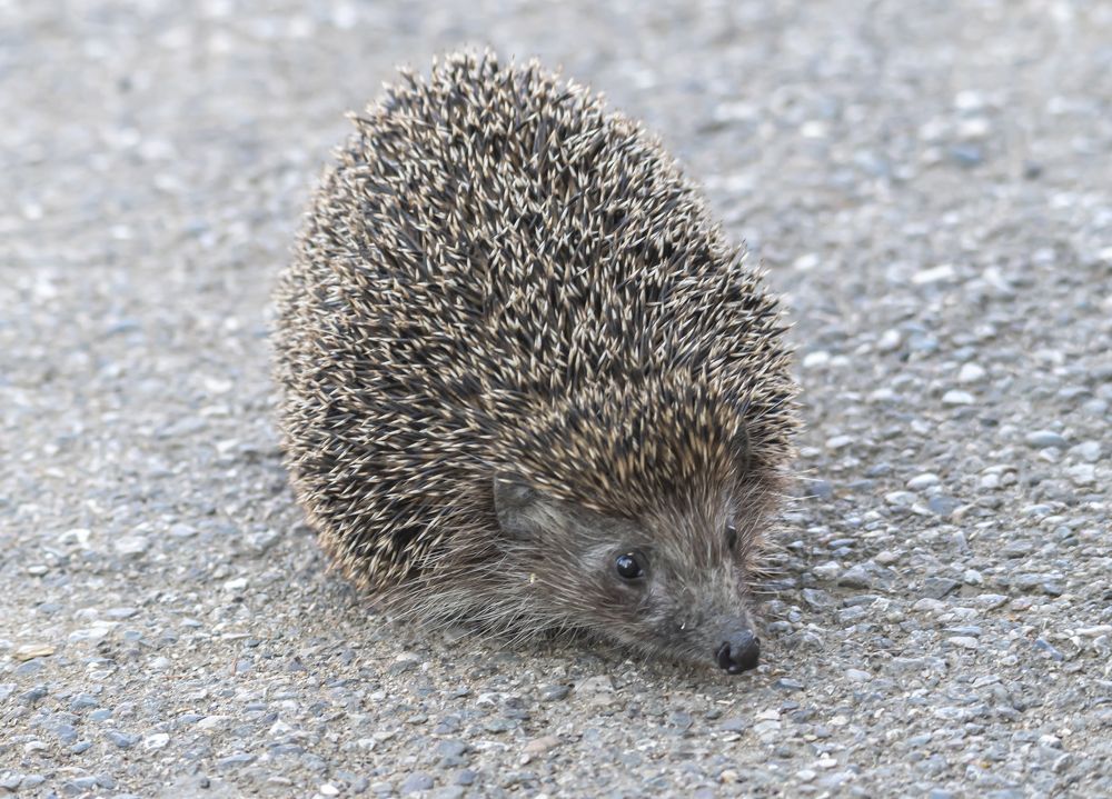 Photograph by Савчук Сергей