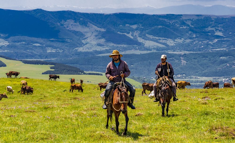 Photograph by Alex Kalpus