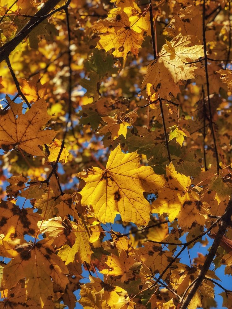 Photograph by Людмила Евстратова