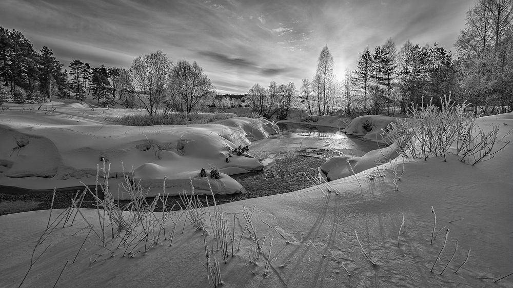 Photograph by Андреев Николай