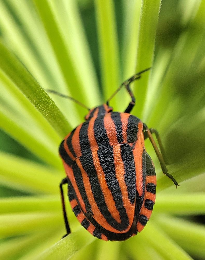 Photograph by Дмитрий Фетисов