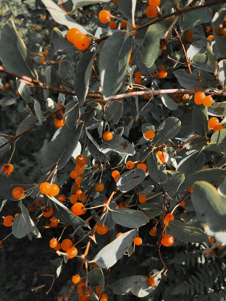 Photograph by Дмитрий Фетисов