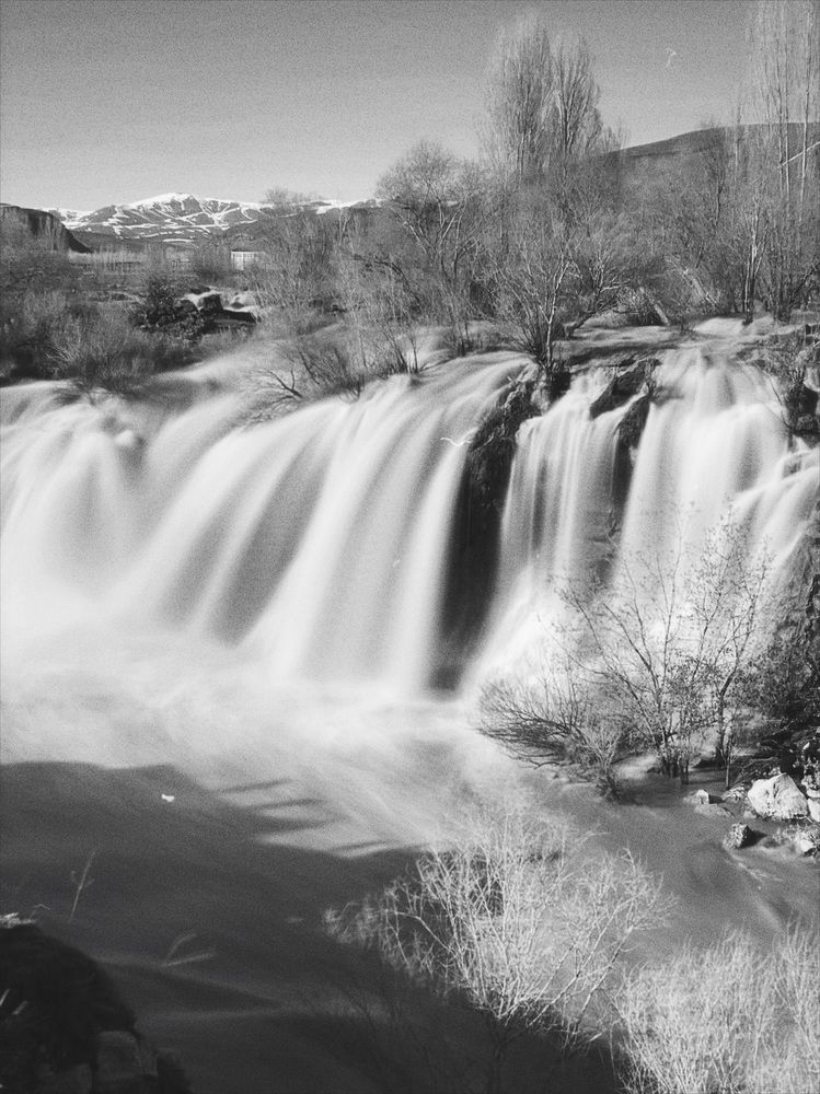 Photograph by Ekaterina Vinogradova