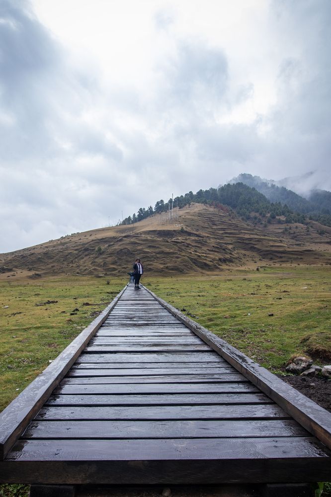 Photograph by Shalini Jain