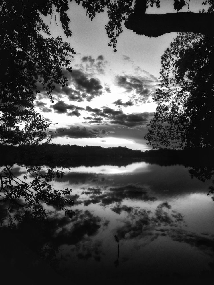 Photograph by Александр Лабутин