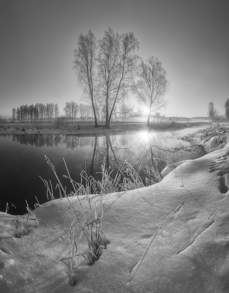 Photograph by Андреев Николай