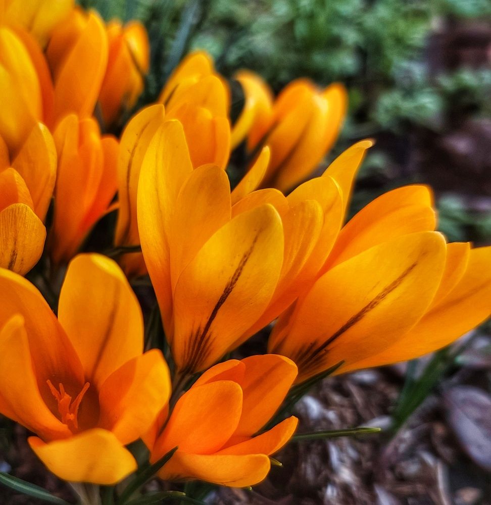 Photograph by Юлия Коробкова