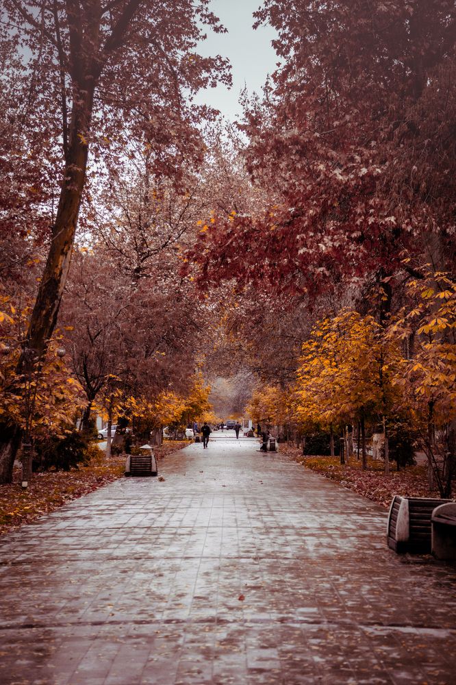 Photograph by Кирилл Алексеев