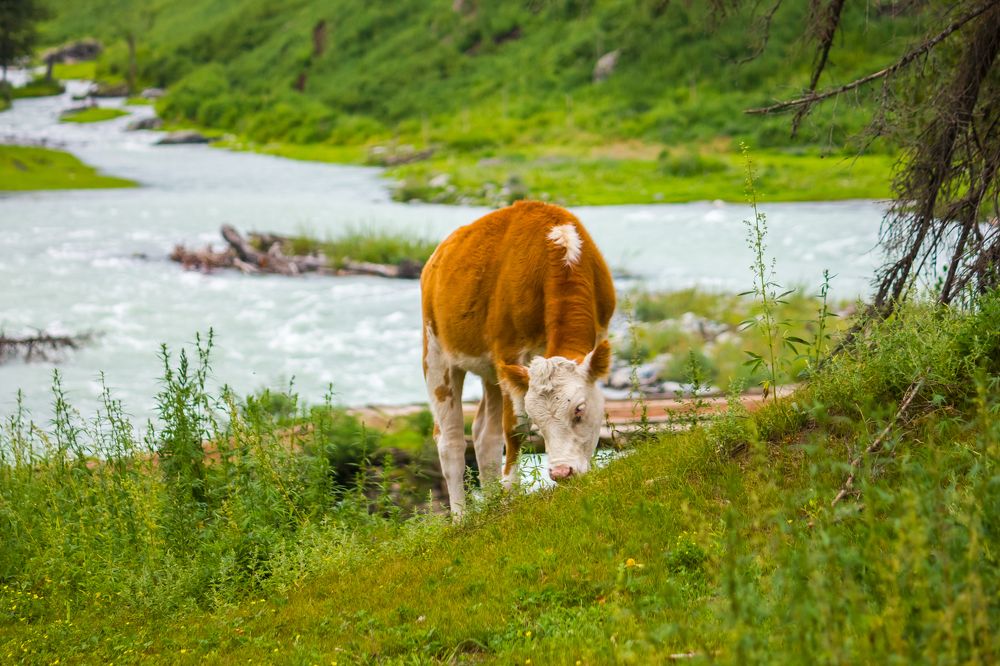 Photograph by Алексей Соколов