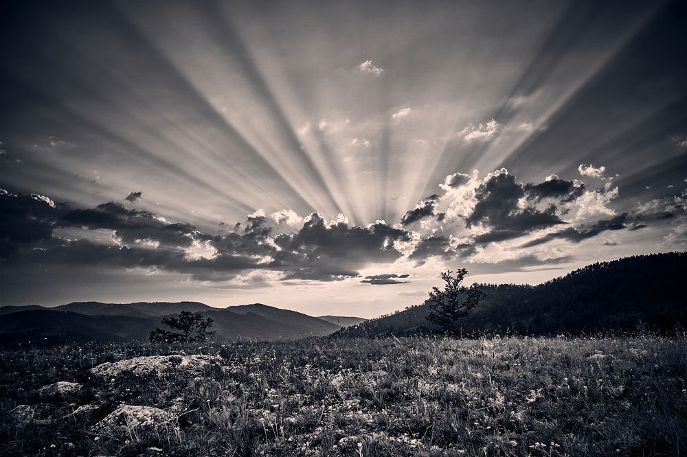 Photograph by VITALIY DYADICH