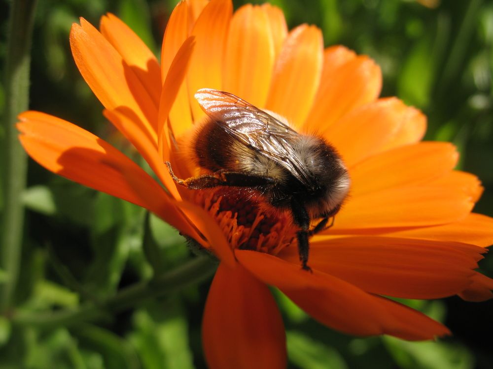 Photograph by Орл Про