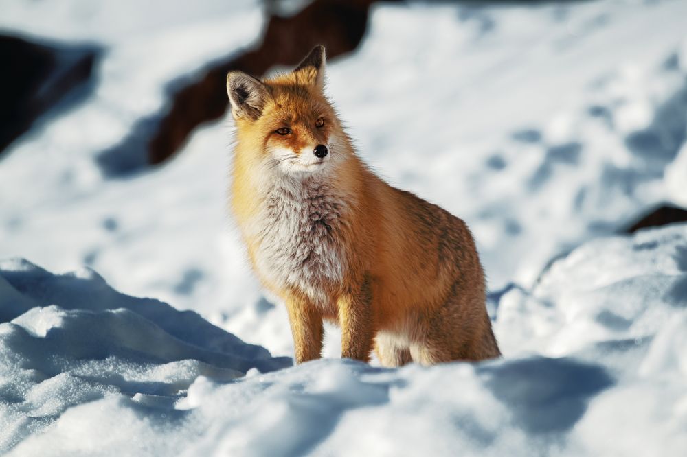 Photograph by Константин Кукушкин